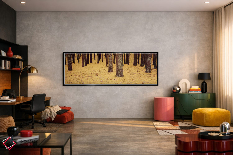 تابلو دکوراتیو Cape Cod, Massachusetts, USA,نمای پایین از درختان کاج و… اثر پانورامیک ایمجز - D6B