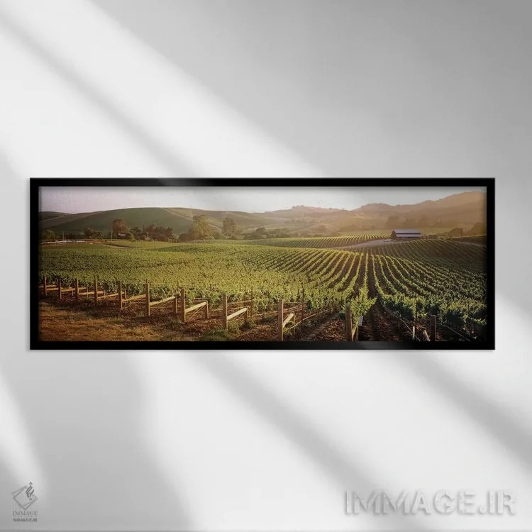 تابلو دکوراتیو Los Carneros AVA, Napa Valley, California, USA,چشم اندا… اثر پانورامیک ایمجز - نمای قابدار مشکی