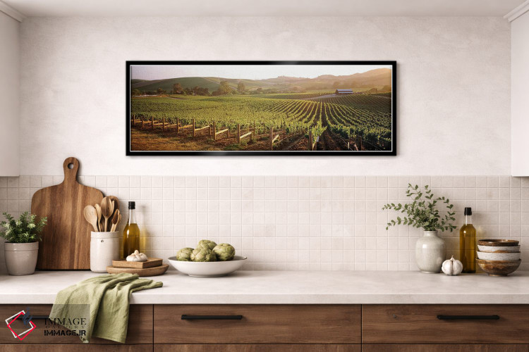 تابلو دکوراتیو Los Carneros AVA, Napa Valley, California, USA,چشم اندا… اثر پانورامیک ایمجز - D4B