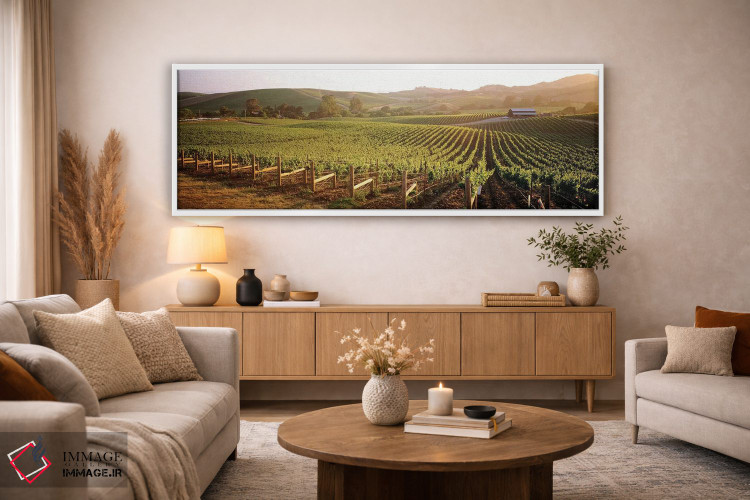 تابلو دکوراتیو Los Carneros AVA, Napa Valley, California, USA,چشم اندا… اثر پانورامیک ایمجز - D5W