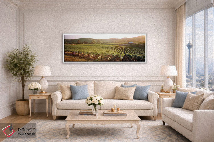 تابلو دکوراتیو Los Carneros AVA, Napa Valley, California, USA,چشم اندا… اثر پانورامیک ایمجز - D6W