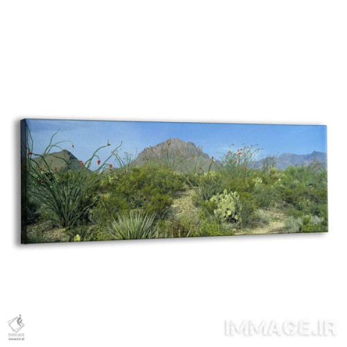 تابلو دکوراتیو Big Bend National Park, Texas, USA,چشم انداز کوهستانی ب… اثر پانورامیک ایمجز - نمای پرسپکتیو محصول
