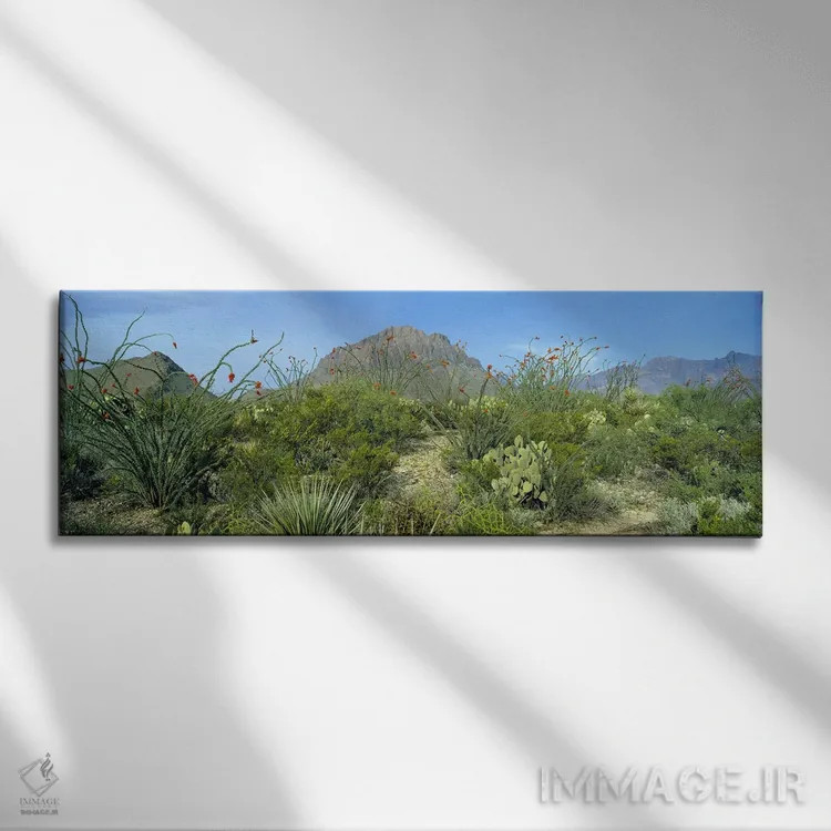تابلو دکوراتیو Big Bend National Park, Texas, USA,چشم انداز کوهستانی ب… اثر پانورامیک ایمجز - نمای روبهرو روی دیوار