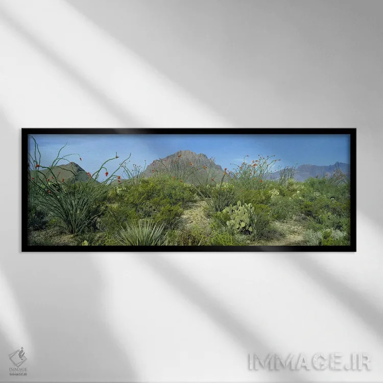 تابلو دکوراتیو Big Bend National Park, Texas, USA,چشم انداز کوهستانی ب… اثر پانورامیک ایمجز - نمای قابدار مشکی