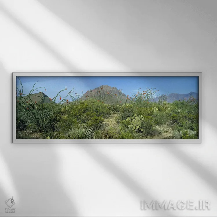 تابلو دکوراتیو Big Bend National Park, Texas, USA,چشم انداز کوهستانی ب… اثر پانورامیک ایمجز - نمای قابدار سفید