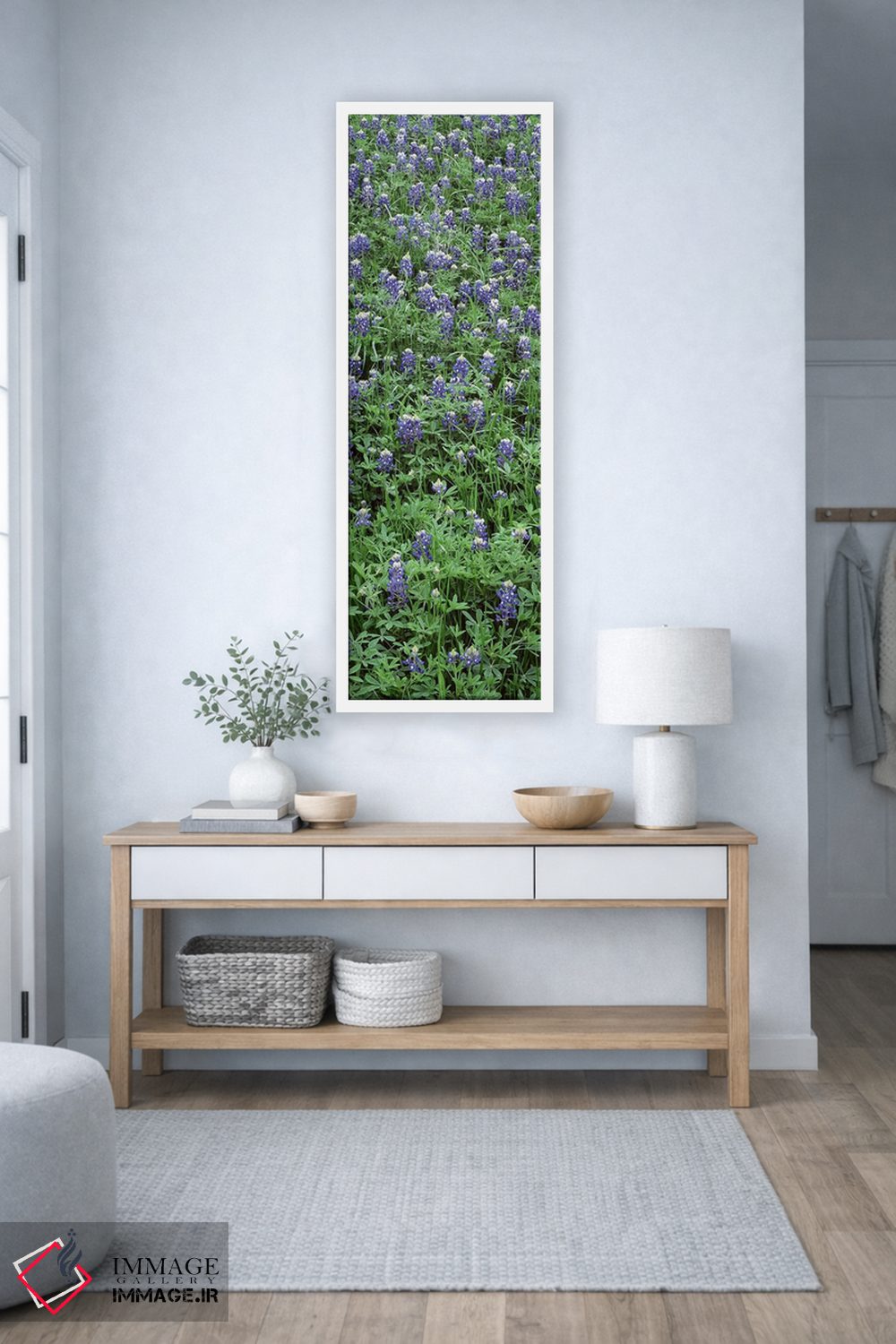 تابلو دکوراتیو Bluebonnets, Austin, Texas, USA,نمای بالا از گیاهان، گل… اثر پانورامیک ایمجز - D3W