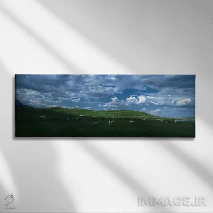 تابلو دکوراتیو Rocky Mountains, Montana, USA,گاوهای شاروله در حال چرا… اثر پانورامیک ایمجز - نمای روبهرو روی دیوار