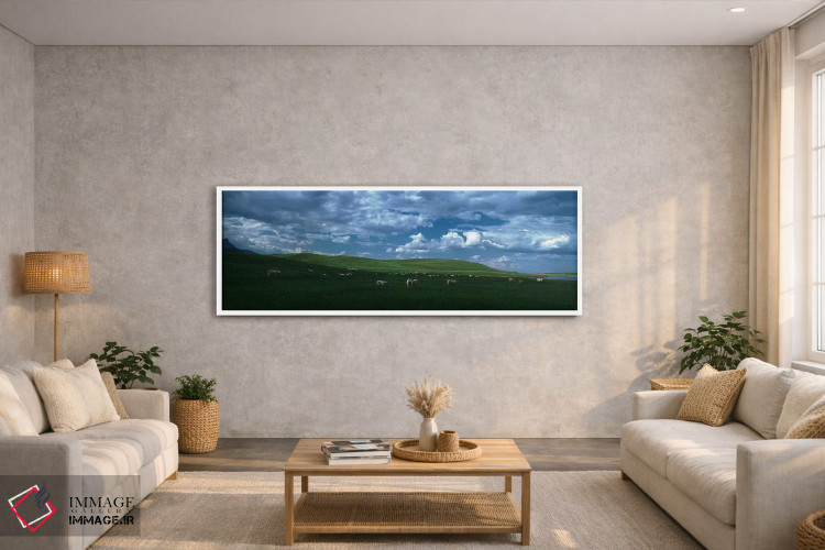 تابلو دکوراتیو Rocky Mountains, Montana, USA,گاوهای شاروله در حال چرا… اثر پانورامیک ایمجز - D2W