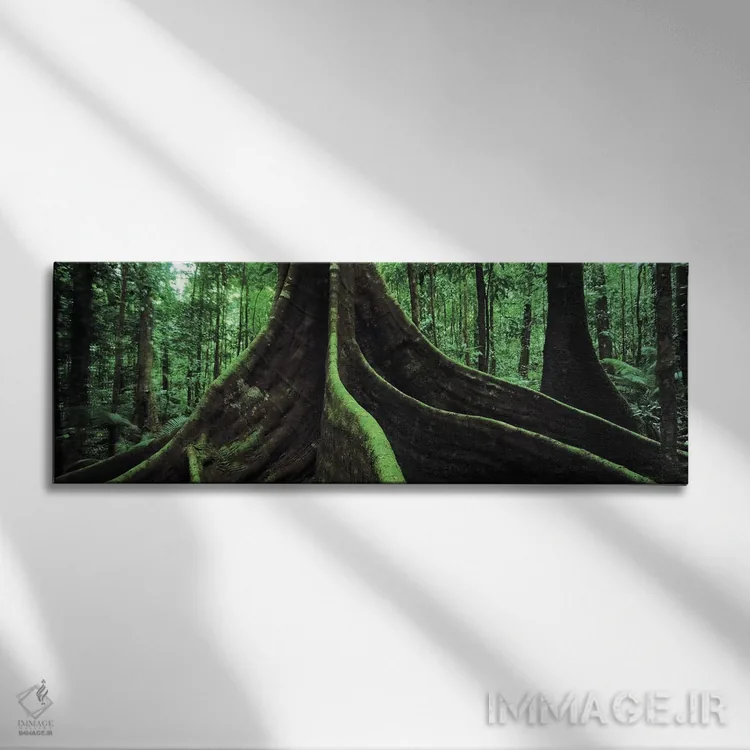 تابلو دکوراتیو Daintree National Park, Far North, Queensland, Australi… اثر پانورامیک ایمجز - نمای روبهرو روی دیوار