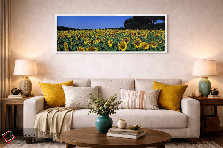 تابلو دکوراتیو Provence-Alpes-Cote d'Azur, France,مزرعه آفتابگردان، پر… اثر پانورامیک ایمجز - D1W