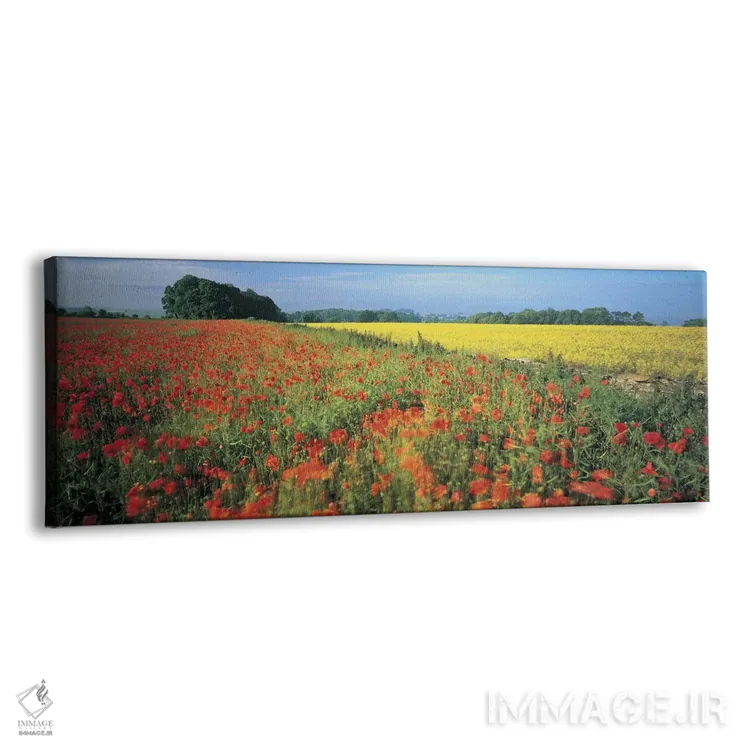 تابلو دکوراتیو Avon Valley, Near Bath, Somerset, England, United Kingd… اثر پانورامیک ایمجز - نمای پرسپکتیو محصول