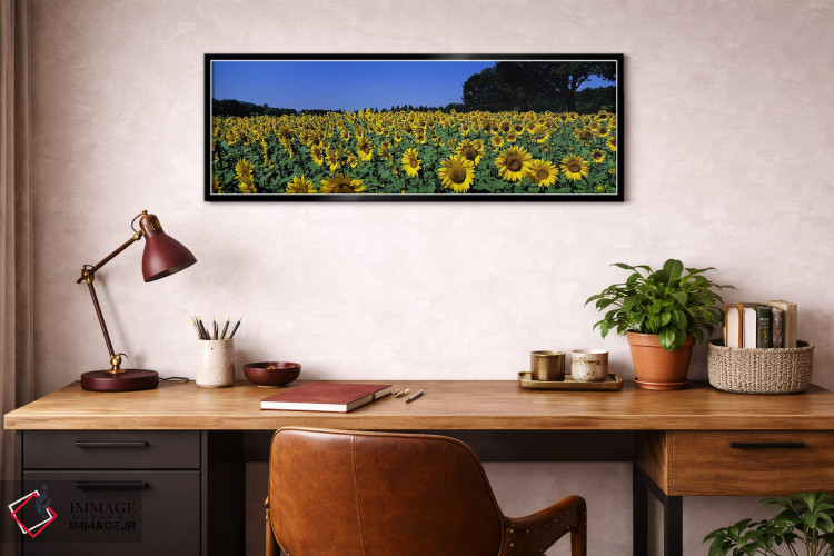تابلو دکوراتیو Provence-Alpes-Cote d'Azur, France,مزرعه آفتابگردان، پر… اثر پانورامیک ایمجز - D3B