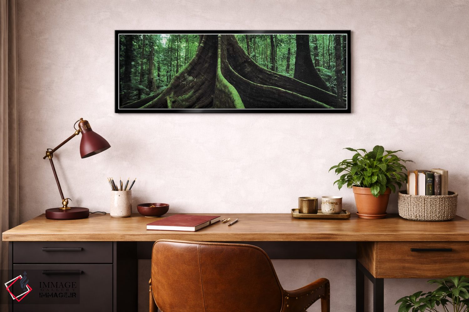 تابلو دکوراتیو Daintree National Park, Far North, Queensland, Australi… اثر پانورامیک ایمجز - D2B