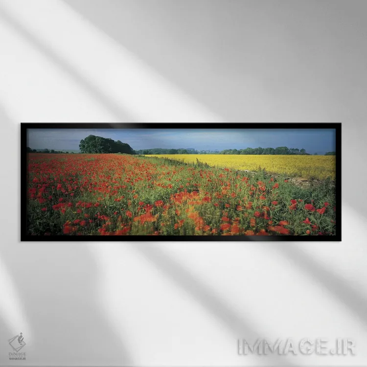 تابلو دکوراتیو Avon Valley, Near Bath, Somerset, England, United Kingd… اثر پانورامیک ایمجز - نمای قابدار مشکی