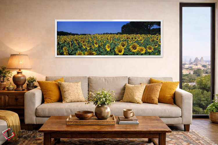 تابلو دکوراتیو Provence-Alpes-Cote d'Azur, France,مزرعه آفتابگردان، پر… اثر پانورامیک ایمجز - D4W