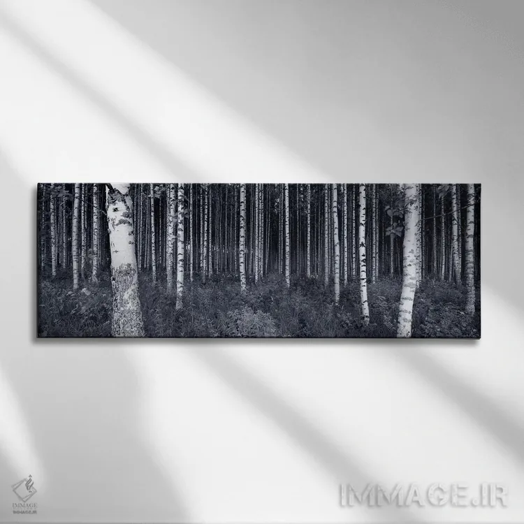 تابلو دکوراتیو Finland,درختان توس در جنگل، فنلاند اثر پانورامیک ایمجز - نمای روبهرو روی دیوار