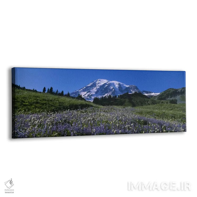 تابلو دکوراتیو Mt Rainier National Park, Washington State, USA #3,گل ه… اثر پانورامیک ایمجز - نمای پرسپکتیو محصول