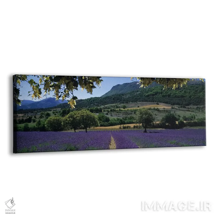 تابلو دکوراتیو Provence-Alpes-Cote d'Azur France,منظر روستایی I، پروان… اثر پانورامیک ایمجز - نمای پرسپکتیو محصول