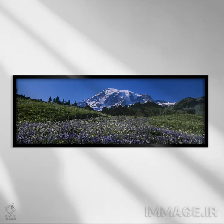 تابلو دکوراتیو Mt Rainier National Park, Washington State, USA #3,گل ه… اثر پانورامیک ایمجز - نمای قابدار مشکی