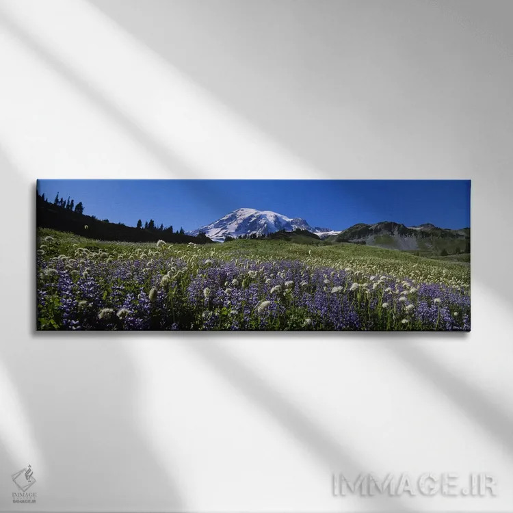 تابلو دکوراتیو Mt Rainier National Park, Washington State, USA #4,گل ه… اثر پانورامیک ایمجز - نمای روبهرو روی دیوار