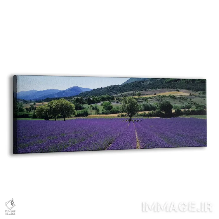 تابلو دکوراتیو Provence-Alpes-Cote d'Azur France,منظر روستایی II، پروا… اثر پانورامیک ایمجز - نمای پرسپکتیو محصول
