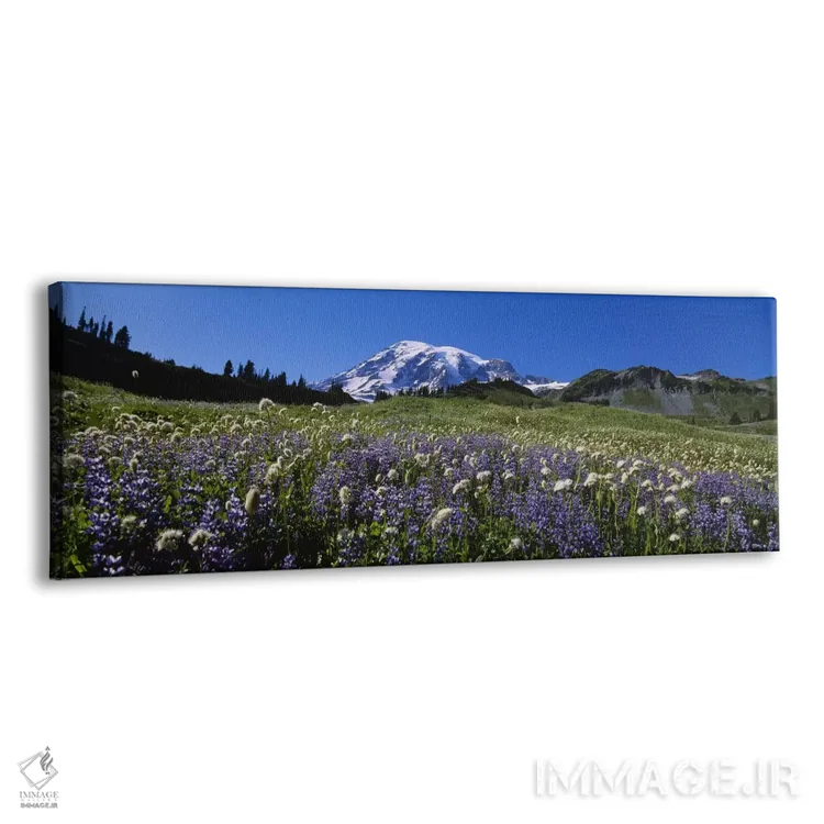 تابلو دکوراتیو Mt Rainier National Park, Washington State, USA #4,گل ه… اثر پانورامیک ایمجز - نمای پرسپکتیو محصول