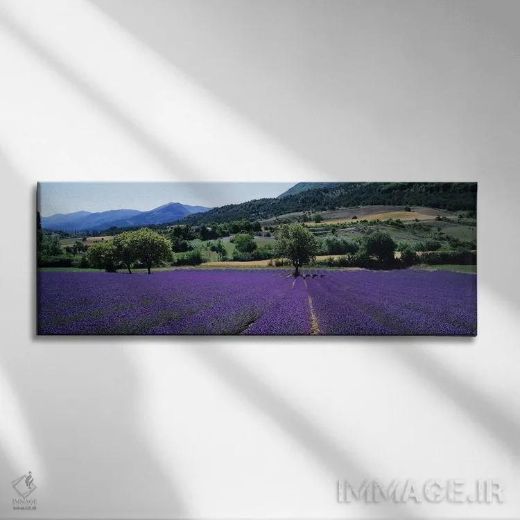 تابلو دکوراتیو Provence-Alpes-Cote d'Azur France,منظر روستایی II، پروا… اثر پانورامیک ایمجز - نمای روبهرو روی دیوار