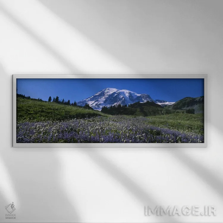 تابلو دکوراتیو Mt Rainier National Park, Washington State, USA #3,گل ه… اثر پانورامیک ایمجز - نمای قابدار سفید