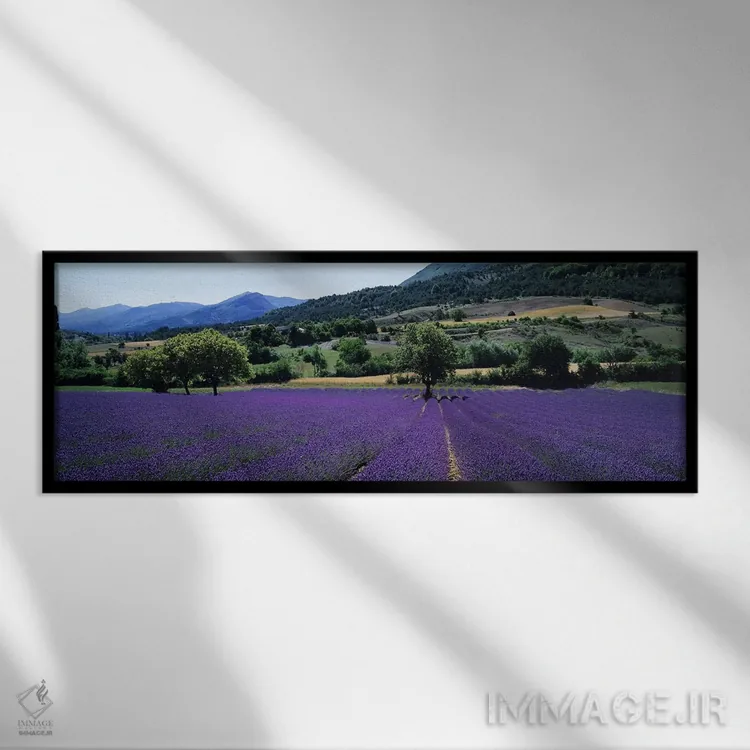 تابلو دکوراتیو Provence-Alpes-Cote d'Azur France,منظر روستایی II، پروا… اثر پانورامیک ایمجز - نمای قابدار مشکی