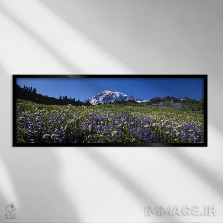 تابلو دکوراتیو Mt Rainier National Park, Washington State, USA #4,گل ه… اثر پانورامیک ایمجز - نمای قابدار مشکی