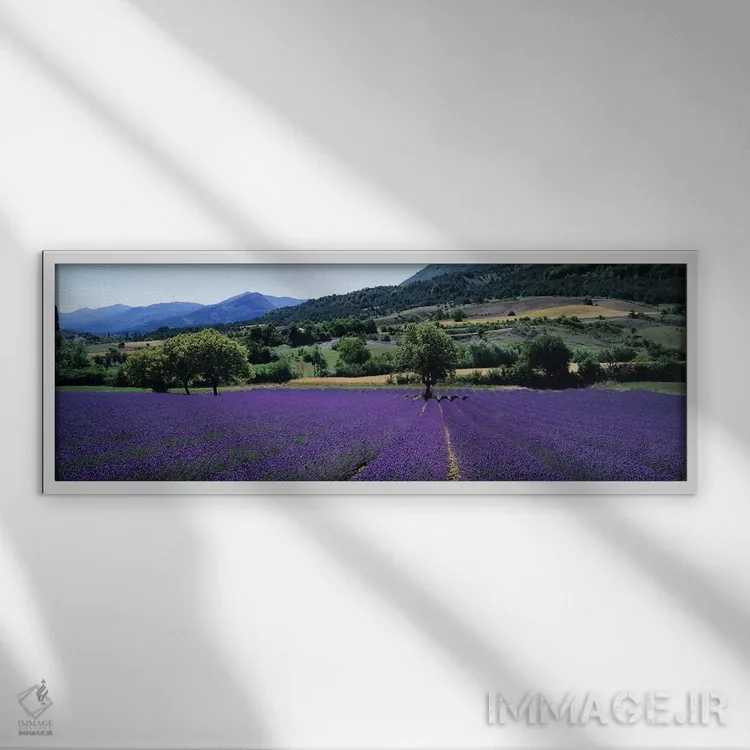 تابلو دکوراتیو Provence-Alpes-Cote d'Azur France,منظر روستایی II، پروا… اثر پانورامیک ایمجز - نمای قابدار سفید