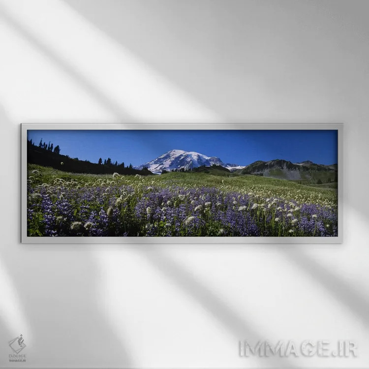 تابلو دکوراتیو Mt Rainier National Park, Washington State, USA #4,گل ه… اثر پانورامیک ایمجز - نمای قابدار سفید