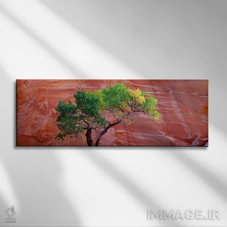 تابلو دکوراتیو Escalante National Monument, Utah, USA,نمای زاویه پایین… اثر پانورامیک ایمجز - نمای روبهرو روی دیوار