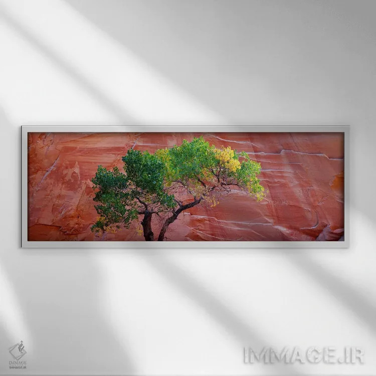 تابلو دکوراتیو Escalante National Monument, Utah, USA,نمای زاویه پایین… اثر پانورامیک ایمجز - نمای قابدار سفید