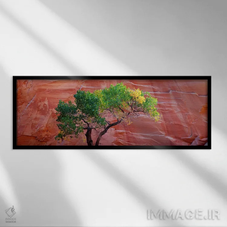 تابلو دکوراتیو Escalante National Monument, Utah, USA,نمای زاویه پایین… اثر پانورامیک ایمجز - نمای قابدار مشکی