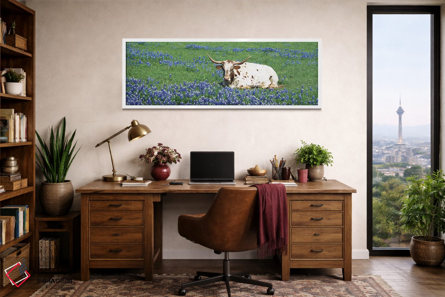 تابلو دکوراتیو Texas, USA,گاو لانگهورن تگزاس نشسته در مزرعه، شهرستان ه… اثر پانورامیک ایمجز - D1W