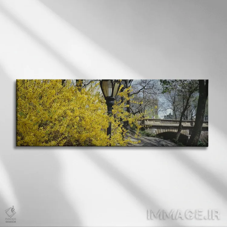 تابلو دکوراتیو Central Park, Manhattan, New York City, New York, USA,ش… اثر پانورامیک ایمجز - نمای روبهرو روی دیوار