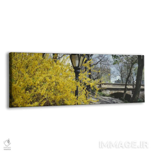 تابلو دکوراتیو Central Park, Manhattan, New York City, New York, USA,ش… اثر پانورامیک ایمجز - نمای پرسپکتیو محصول