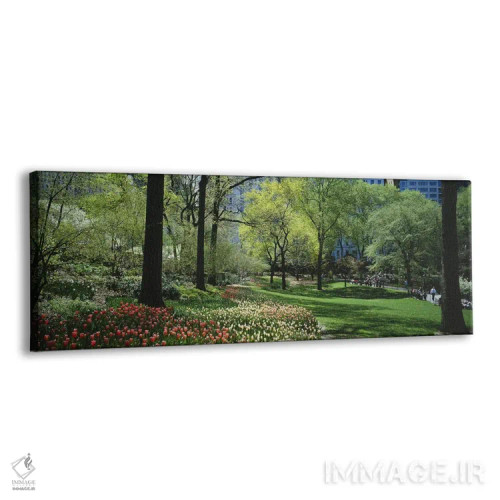 تابلو دکوراتیو Central Park, Manhattan, New York City, New York State… اثر پانورامیک ایمجز - نمای پرسپکتیو محصول