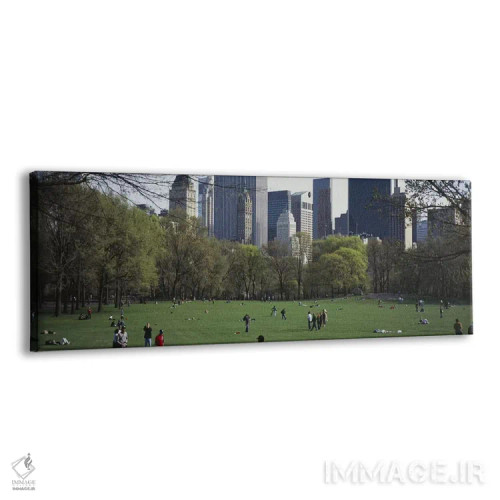 تابلو دکوراتیو Central Park, Manhattan, New York City, New York State… اثر پانورامیک ایمجز - نمای پرسپکتیو محصول