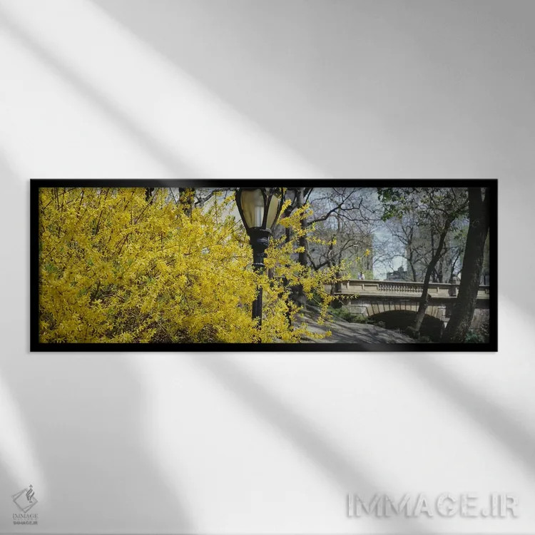 تابلو دکوراتیو Central Park, Manhattan, New York City, New York, USA,ش… اثر پانورامیک ایمجز - نمای قابدار مشکی