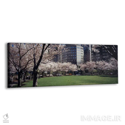 تابلو دکوراتیو Central Park, Manhattan, New York City, New York State… اثر پانورامیک ایمجز - نمای پرسپکتیو محصول