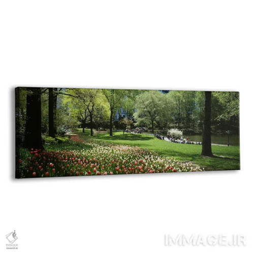تابلو دکوراتیو Central Park, Manhattan, New York City, New York State… اثر پانورامیک ایمجز - نمای پرسپکتیو محصول