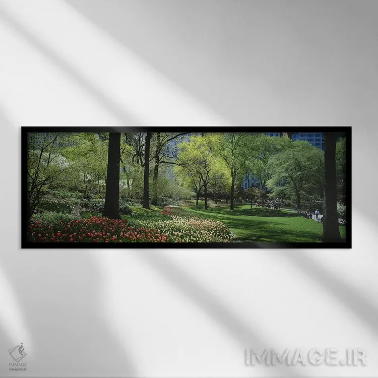 تابلو دکوراتیو Central Park, Manhattan, New York City, New York State… اثر پانورامیک ایمجز - نمای قابدار مشکی