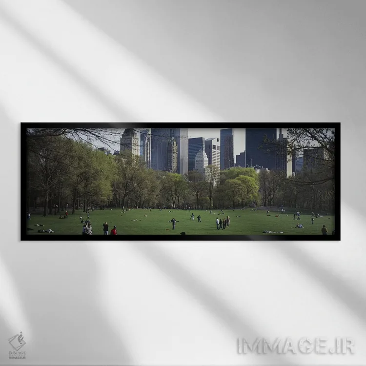 تابلو دکوراتیو Central Park, Manhattan, New York City, New York State… اثر پانورامیک ایمجز - نمای قابدار مشکی