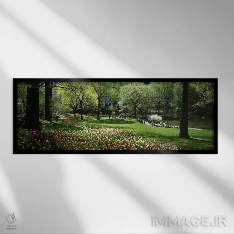 تابلو دکوراتیو Central Park, Manhattan, New York City, New York State… اثر پانورامیک ایمجز - نمای قابدار مشکی