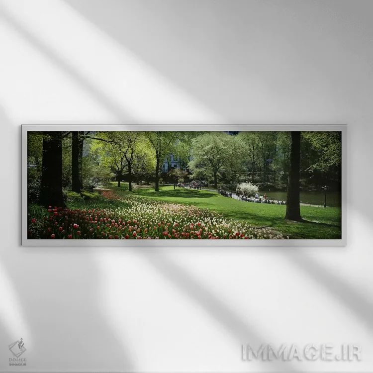 تابلو دکوراتیو Central Park, Manhattan, New York City, New York State… اثر پانورامیک ایمجز - نمای قابدار سفید