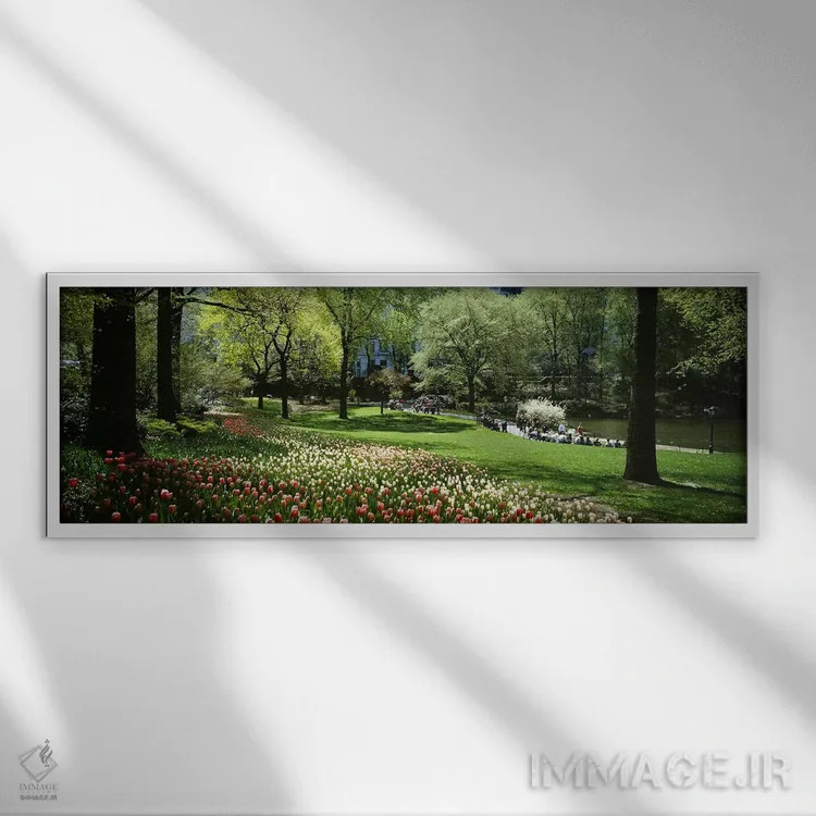 تابلو دکوراتیو Central Park, Manhattan, New York City, New York State… اثر پانورامیک ایمجز - نمای قابدار سفید