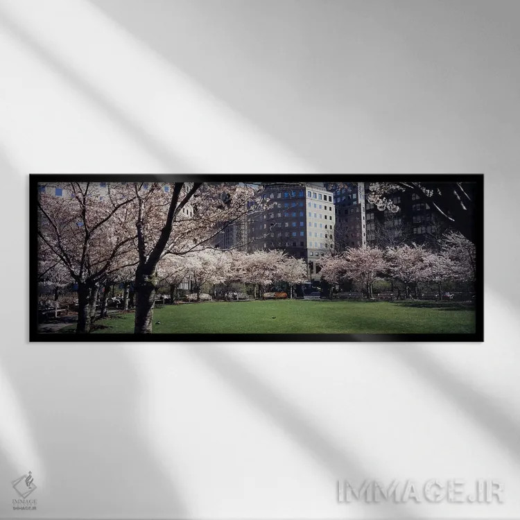 تابلو دکوراتیو Central Park, Manhattan, New York City, New York State… اثر پانورامیک ایمجز - نمای قابدار مشکی
