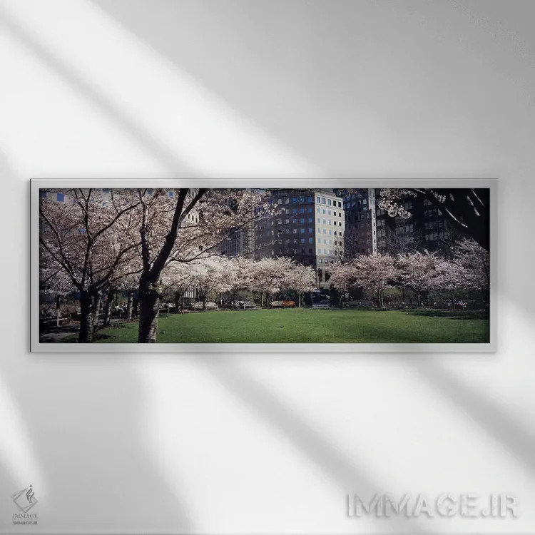 تابلو دکوراتیو Central Park, Manhattan, New York City, New York State… اثر پانورامیک ایمجز - نمای قابدار سفید